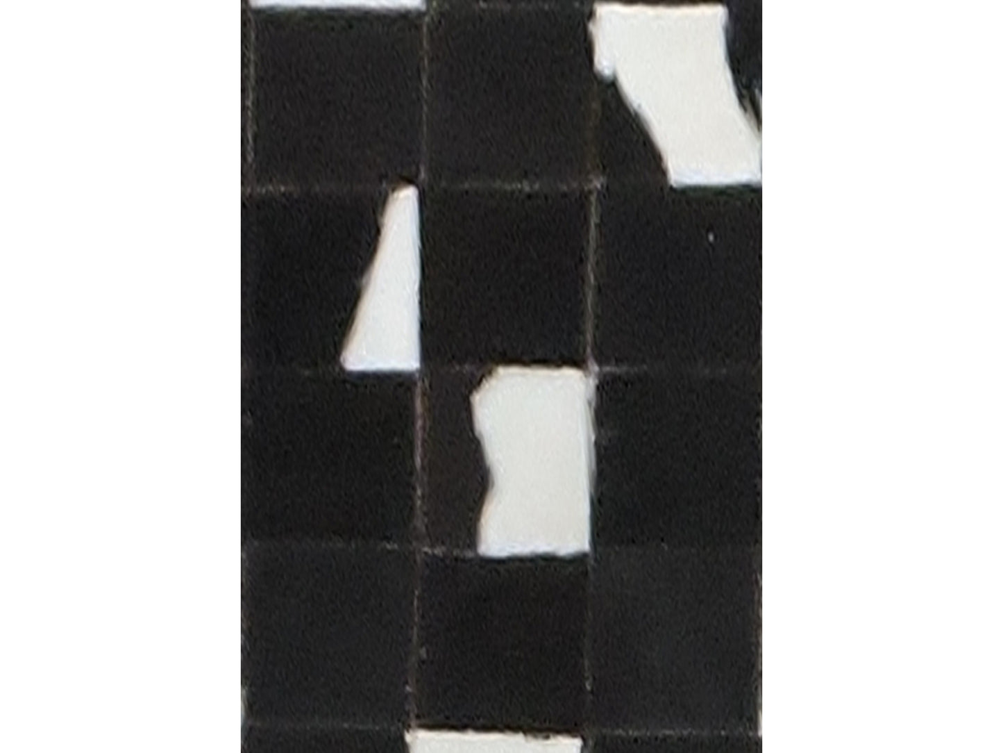 Enjola Black White Hairon Leather Carpet